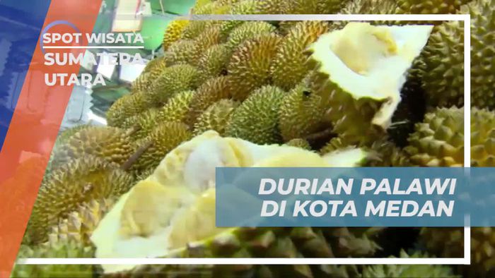 Menikmati Durian Palawi yang Legendaris di Kota Medan