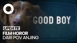 Video: Sinopsis Good Boy, Film Horor dari POV Seekor Anjing