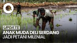 Video: Bupati Deli Serdang Berdayakan Anak Muda Jadi Petani Milenial