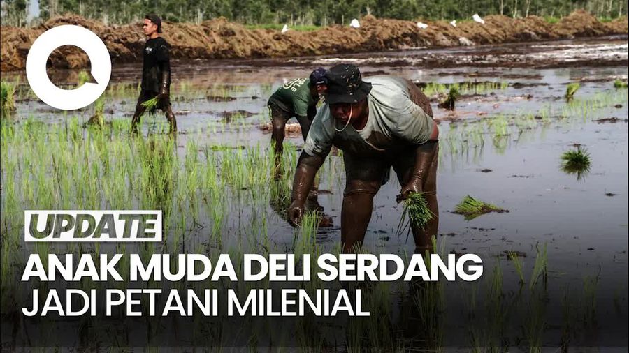 Video: Bupati Deli Serdang Berdayakan Anak Muda Jadi Petani Milenial
