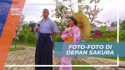 Foto-foto Unik di Depan Sakura di Rumah Adat Jepang Banyumas