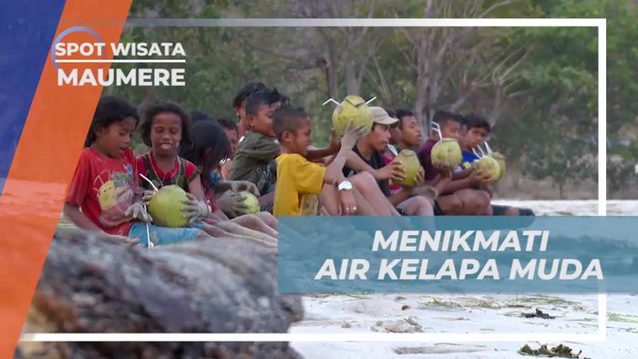 Menyegarkan Diri dengan Air Kelapa Muda di Pantai Koka, Maumere