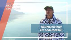 Menjelajahi Keindahan Bawah Laut Pulau Babi, Maumere, Nusa Tenggara Timur