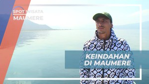 Menjelajahi Keindahan Bawah Laut Pulau Babi, Maumere, Nusa Tenggara Timur