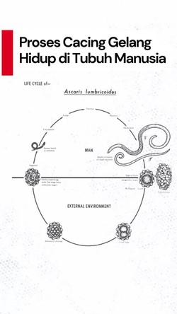 Video: Dokter Jelaskan Proses Cacing Gelang Bisa Hidup di Tubuh Manusia