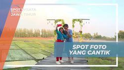 Jelajahi Spot Foto Cantik di Taman Bunga Nganjuk