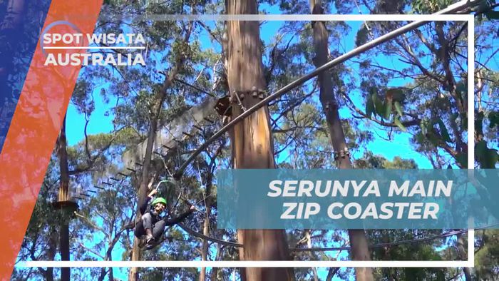 Rasakan Sensasi Adrenalin Main Zip Coaster di Live Wire Park, Australia