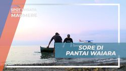 Nikmati Suasana Sore yang Tenang di Pantai Waiara, Maumere