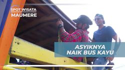 Nikmati Pengalaman Unik Naik Bus Kayu Tradisional di Maumere