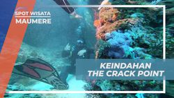 Nikmati Keindahan The Crack Point di Maumere yang Penuh Sejarah
