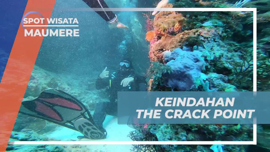 Nikmati Keindahan The Crack Point di Maumere yang Penuh Sejarah