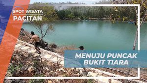 Menyusuri Keindahan Puncak Bukit Tiara di Pacitan