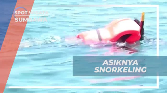 Menikmati Snorkeling di Pantai Kencana, Sumbawa