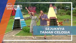 Menikmati Keindahan Taman Celosia di Pekalongan, Jawa Tengah
