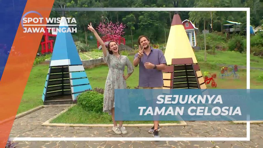 Menikmati Keindahan Taman Celosia di Pekalongan, Jawa Tengah