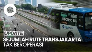 Video: Sejumlah Rute TransJakarta Tak Beroperasi Imbas Demo di DPR