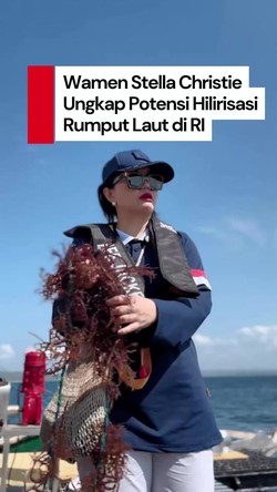 Video Kemendiktisaintek Gandeng Kampus Asing Buat Ekosistem Rumput Laut di RI