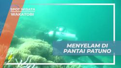 Menyelami Keindahan Bawah Laut di Pantai Patuno Wakatobi dan Melakukan Diving  