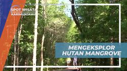 Menjelajahi Hutan Mangrove yang Menyejukkan di Karimunjawa  