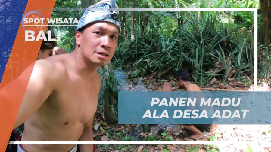 Memanen Madu Tradisional dan Menikmati Rasa Segarnya di Bali  