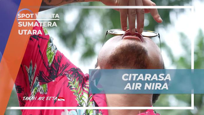 Memanen dan Mencicipi Air Nira Kelapa Langsung dari Tempatnya di Sumatera Utara  