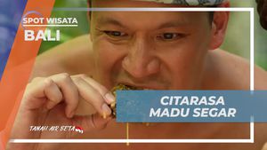 Menikmati Citarasa Madu Segar hasil Panen di Bali  