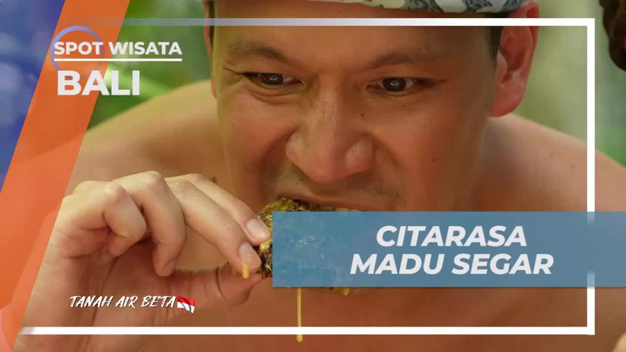 Menikmati Citarasa Madu Segar hasil Panen di Bali  