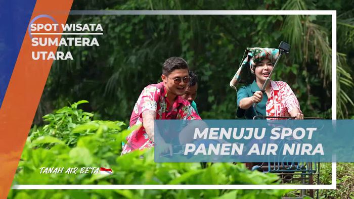 Berpetualang ke Spot Panen Air Nira Kelapa dan Menikmati Citarasa Tradisional di Sumatera Utara  