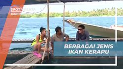 Menikmati Beragam Jenis Ikan Kerapu yang Menarik di Karimunjawa  