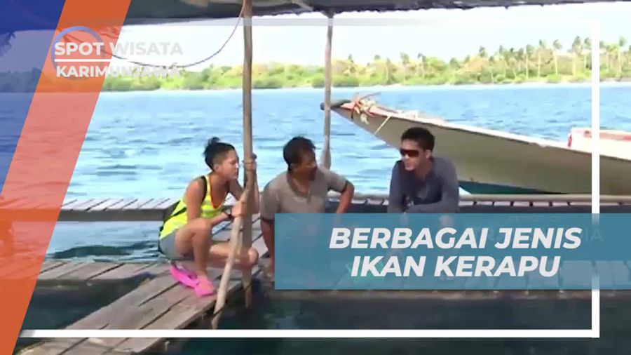 Menikmati Beragam Jenis Ikan Kerapu yang Menarik di Karimunjawa  