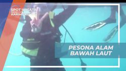 Menikmati Pesona Bawah Laut yang Memesona di Karimunjawa  