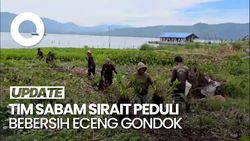 Video: Tim Sabam Sirait Peduli Bebersih Eceng Gondok di Desa Tomok Samosir