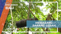 Memasang Sarang Lebah Buatan di Bali dan Merasakan Pengalaman Baru  