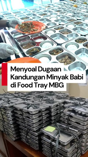 Video Food Tray MBG Diduga Mengandung Minyak Babi, Gimana Cara Ceknya?