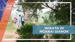 Menikmati Panorama Menakjubkan Ngarai Sianok dan Monyet Liar yang Menggemaskan di Bukittinggi  