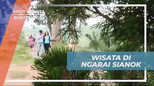 Menikmati Panorama Menakjubkan Ngarai Sianok dan Monyet Liar yang Menggemaskan di Bukittinggi  