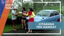 Menikmati Teh Hangat di Udara Sejuk Kebun Teh Wonosari dan Merasakan Kenikmatan Tradisional di Malang 