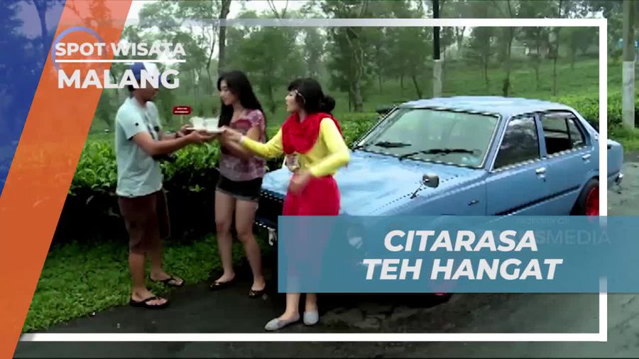 Menikmati Teh Hangat di Udara Sejuk Kebun Teh Wonosari dan Merasakan Kenikmatan Tradisional di Malang 