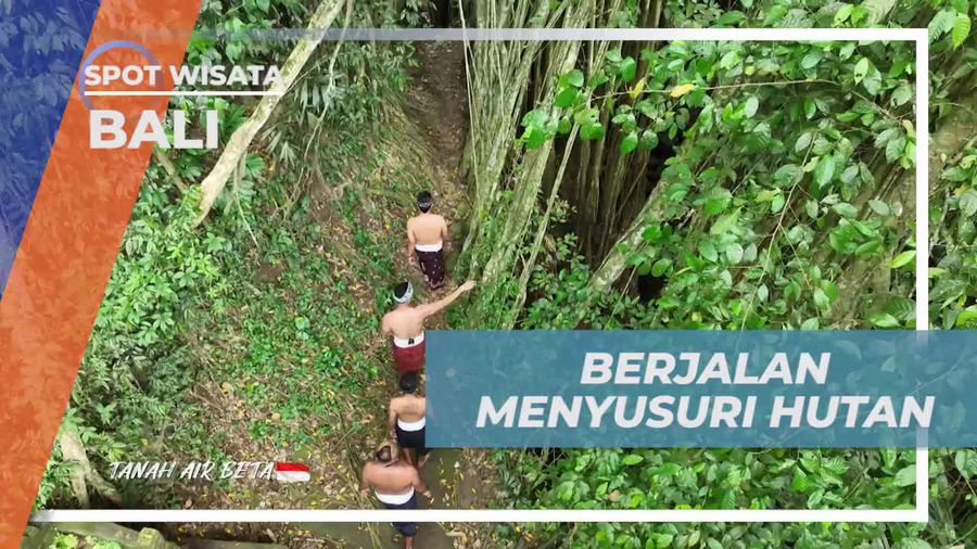 Menyusuri Hutan dan Memanen Hasil Alam di Bali  