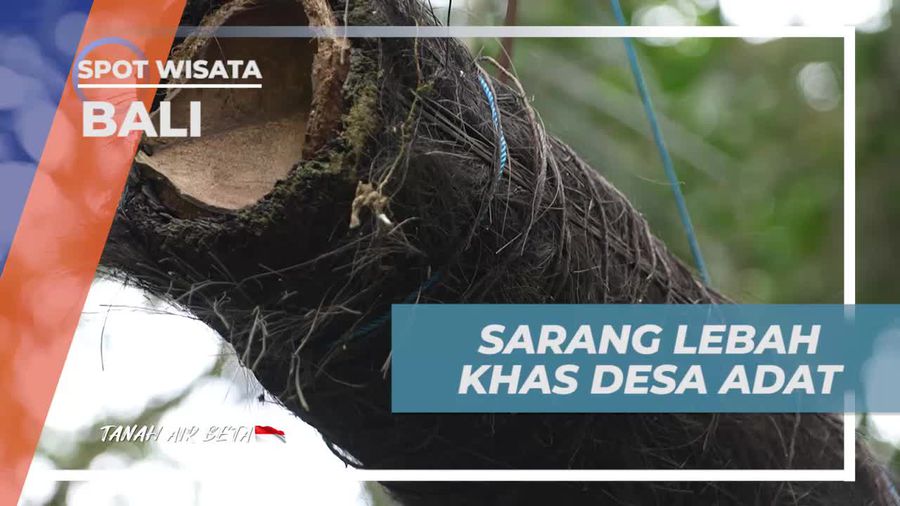 Mengetahui Keunikan Sarang Lebah Khas Desa Adat Tenganan Pegringsingan Bali  