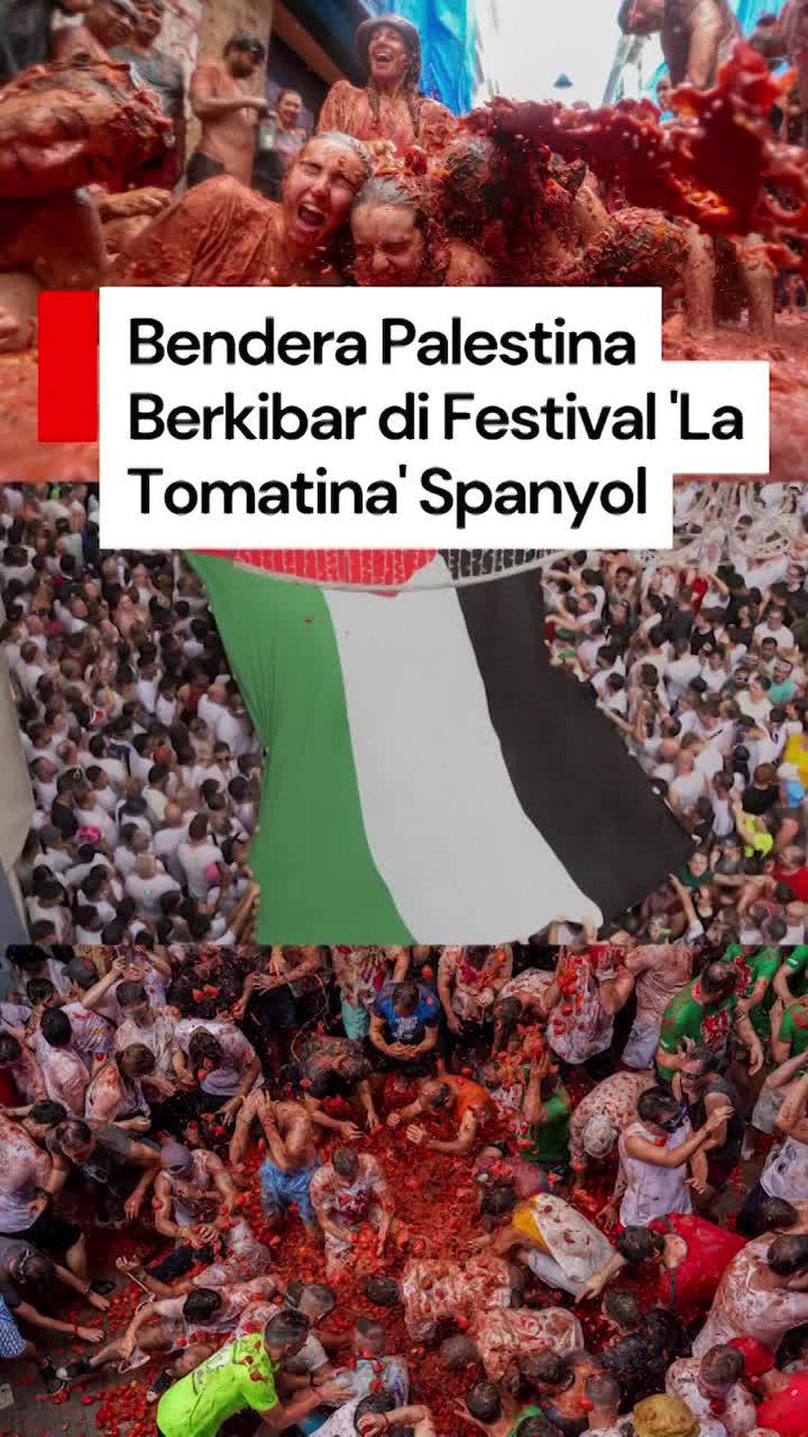  Video: Bendera Palestina Raksasa Berkibar di Festival Perang Tomat Spanyol