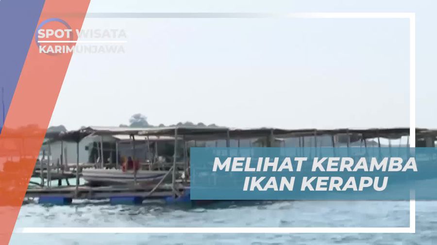 Menyebrang Menuju Keramba Ikan Kerapu di Karimunjawa dan Menikmati Keindahannya  