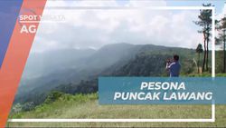 Menyaksikan Pesona Dataran Tinggi di Puncak Lawang dan Danau Maninjau yang Menawan di Agam  