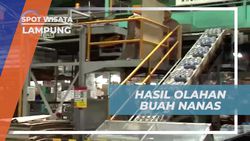 Menyaksikan Hasil Olahan Nanas dalam Kaleng di Lampung  