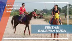Menantang Teman dalam Balapan Kuda di Sumatera Barat  
