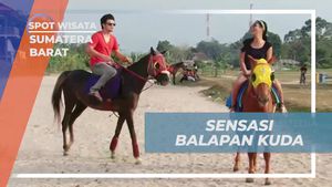 Menantang Teman dalam Balapan Kuda di Sumatera Barat  