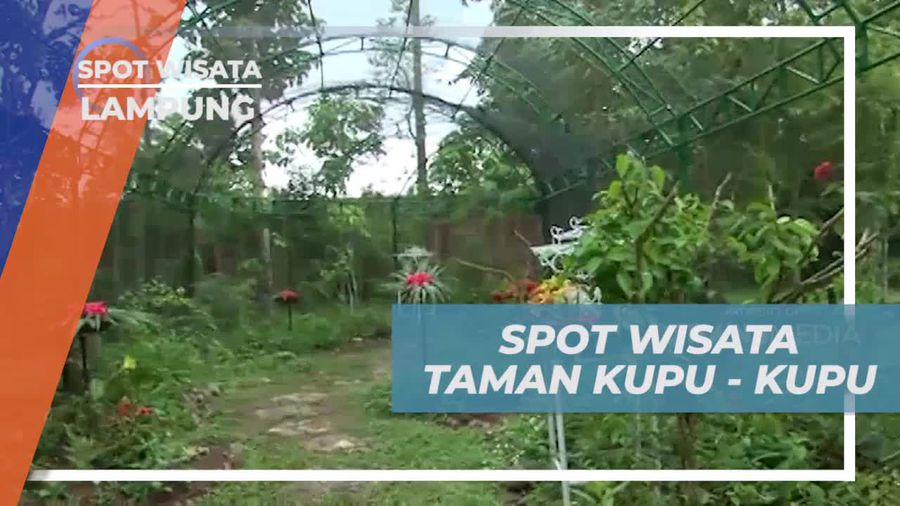 Menjelajahi Keindahan Taman Kupu-Kupu di Lampung  