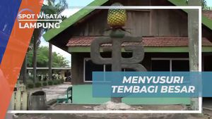 Menyusuri Tembagi Besar dan Kebun Nanas di Lampung  