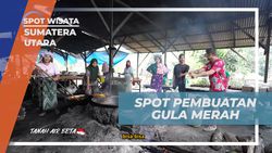 Mengunjungi Spot Pembuatan Gula Merah di Sumatera Utara  