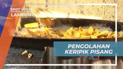 Mengamati Proses Pembuatan Keripik Pisang Kepok di Lampung  